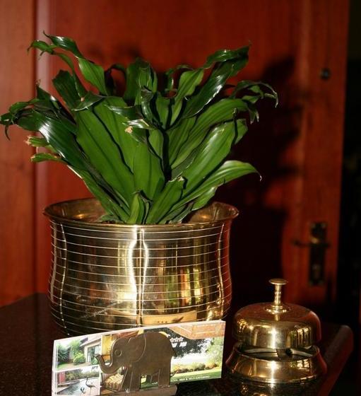 Hotel Selati 103 Guest Cottages 13