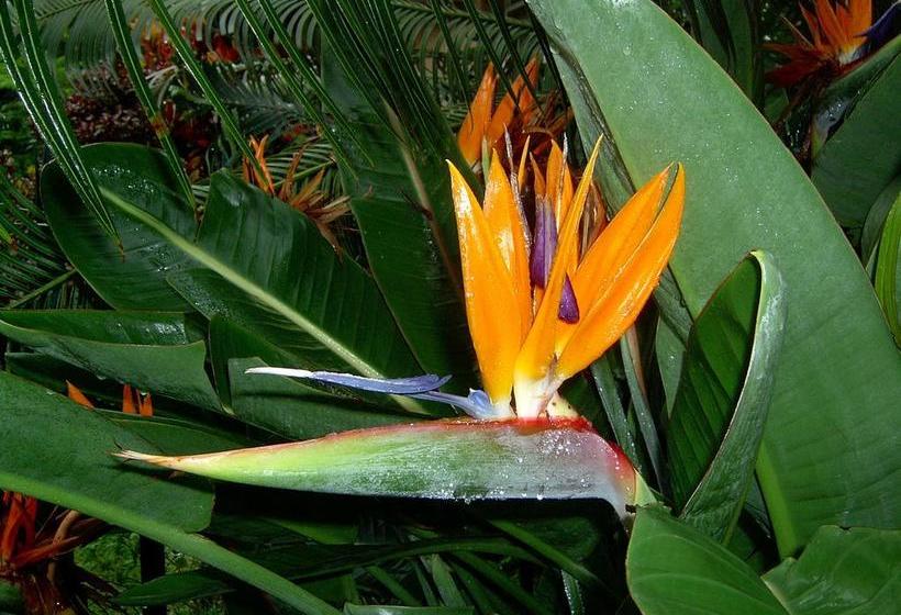 Hotel Selati 103 Guest Cottages 19