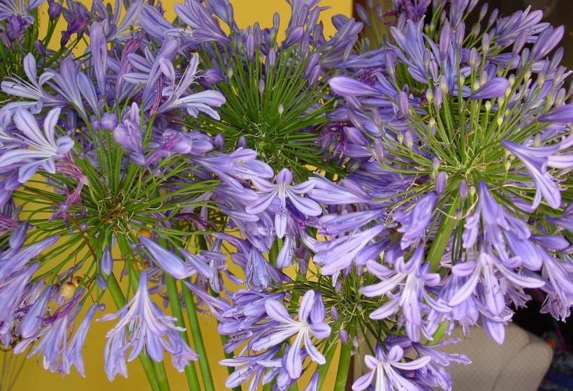 Hotel Lourens River Guesthouse B&b 13