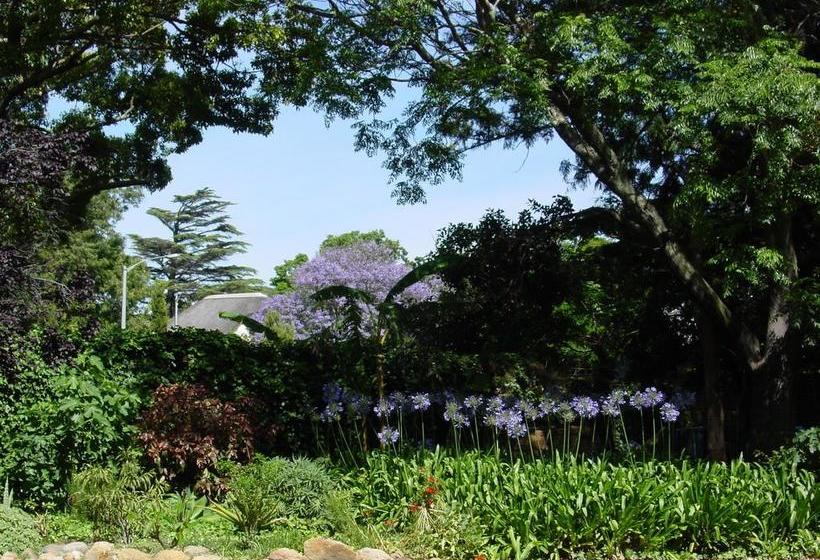 Hotel Lourens River Guesthouse B&b 16