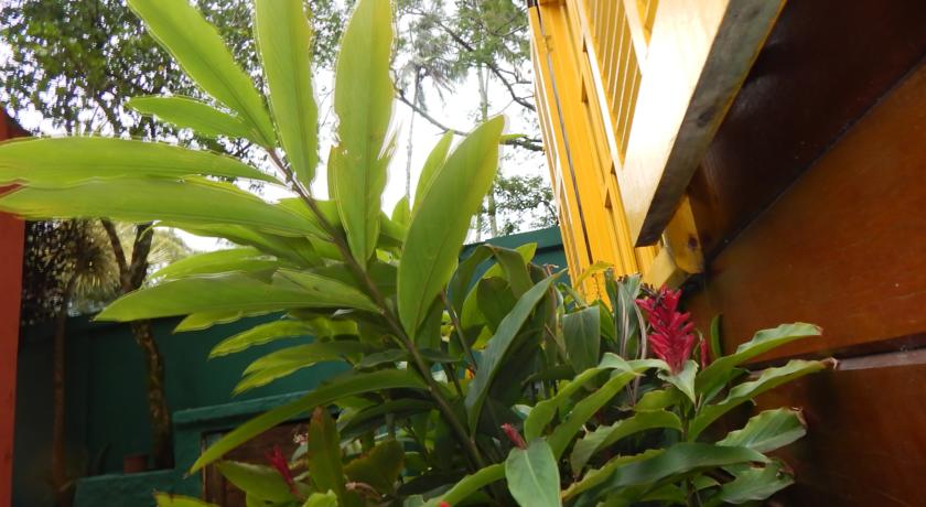 Overnativa Green Hostel  | Ilha Grande | Rio de Janeiro | Brasil 14