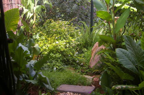 Pension Ukarimu Guest House 12