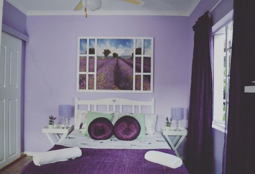 Homebase Melville Hostel 11