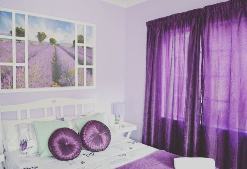 Homebase Melville Hostel 17