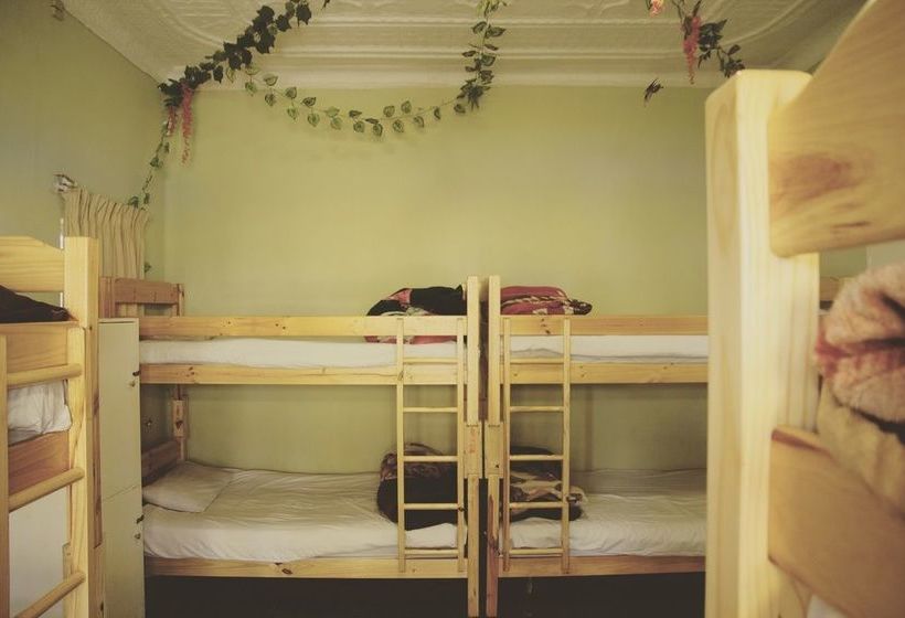 Homebase Melville Hostel 8