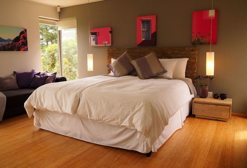 Pension Pure Guest House 16