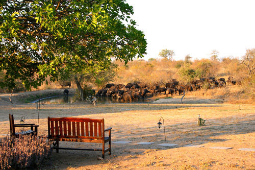Hotel Kambaku Lodge 5