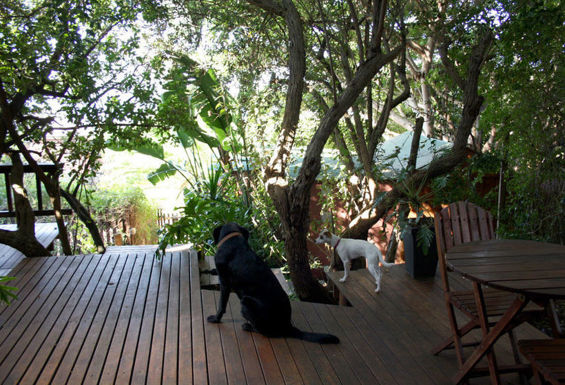 Pension Zen Guesthouse 20