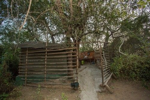 Amanzimloti Riverside Bush Camp 19