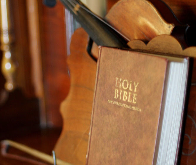 Swartvlei Equestrian Estate 20