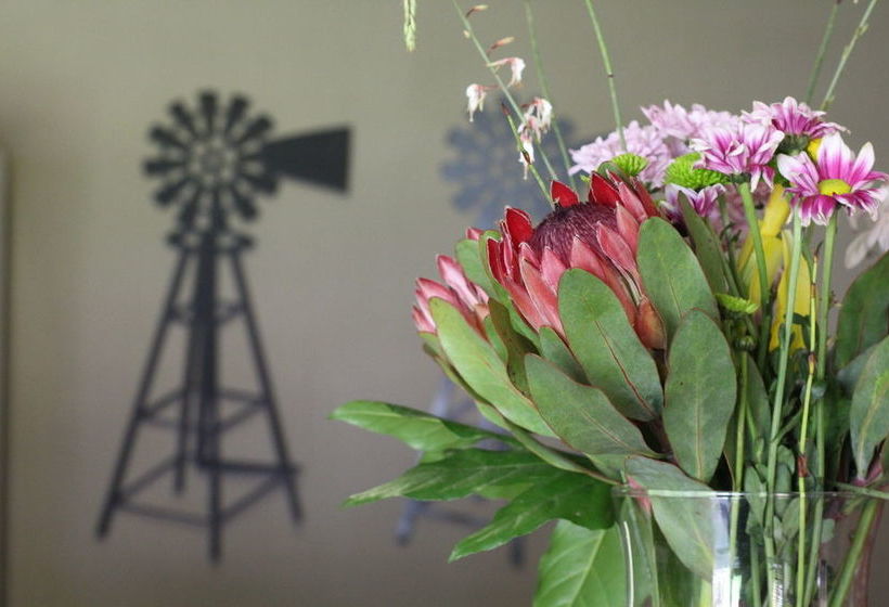 Pension 17 On Bird Guest House 1