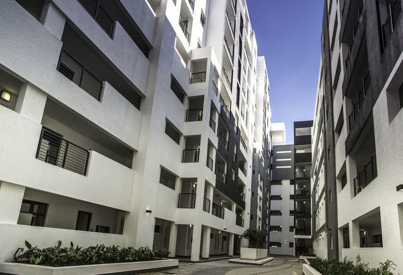 C.a.g The Vantage 20