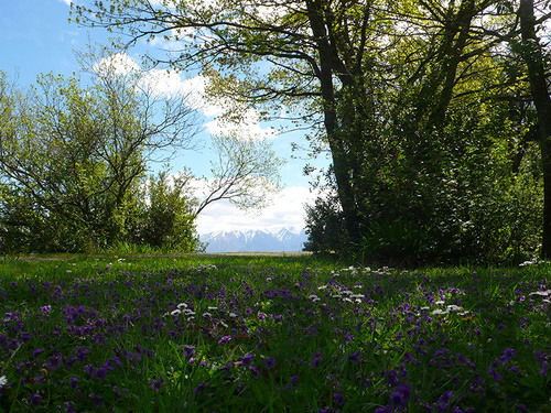 The Stablehand Quarters At Gunyah 19