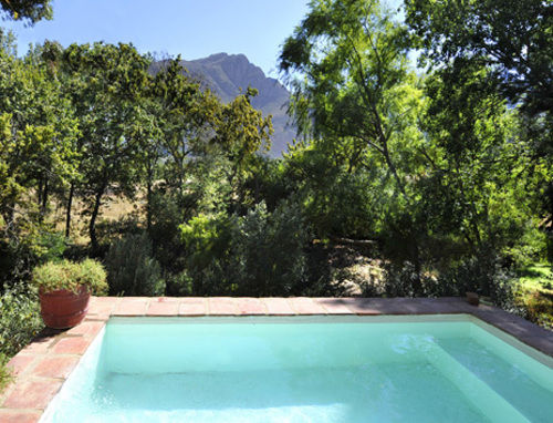 Little Willow Brooke 11