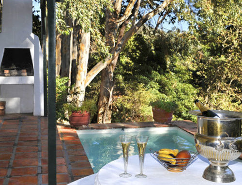 Little Willow Brooke 12