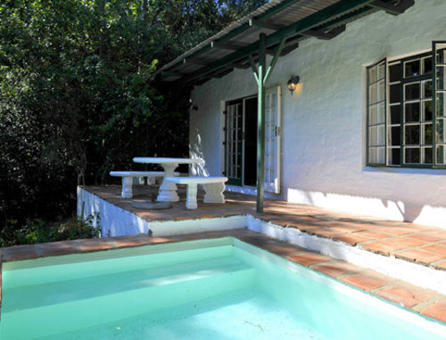 Little Willow Brooke 14