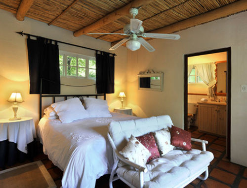 Little Willow Brooke 2