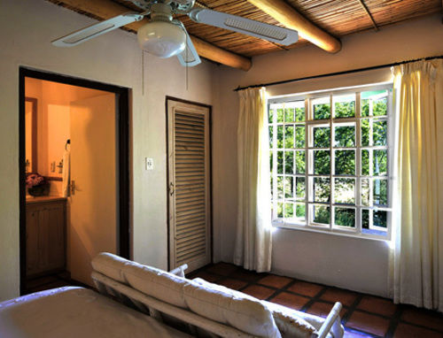 Little Willow Brooke 4