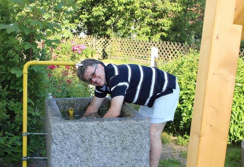 Hotel Gasthaus Zur Waldesruh 15