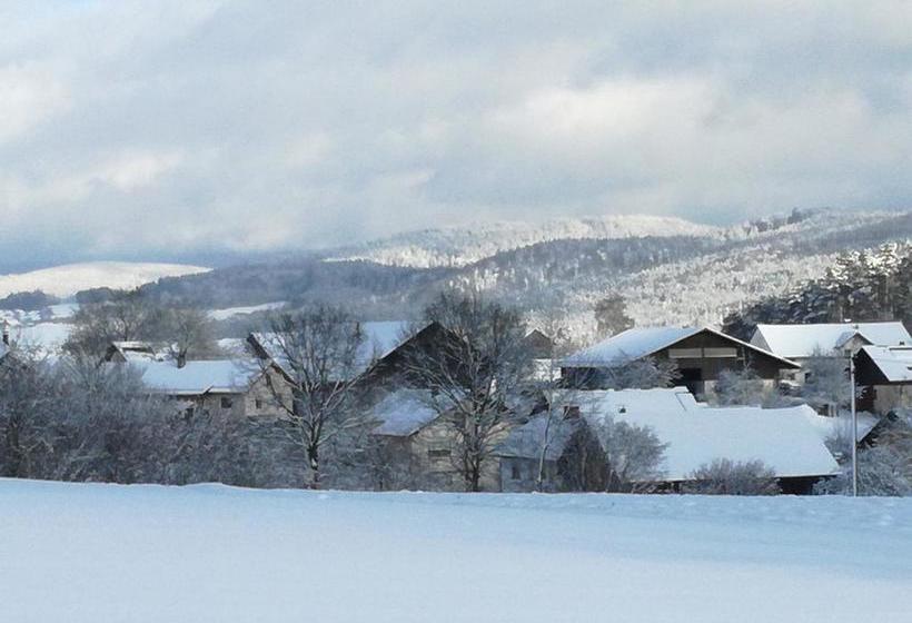 Hotel Gasthaus Zur Waldesruh 8