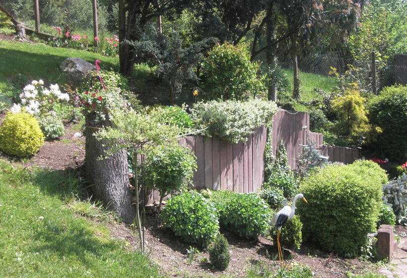 Hotel Restaurant Eifelstube 3