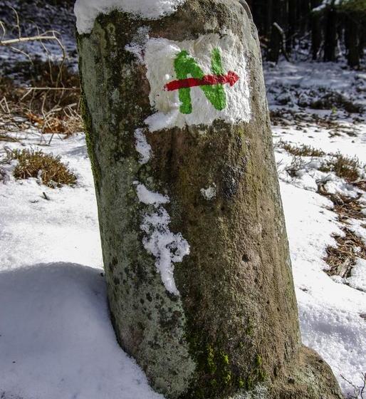 Hotel Naturfreundehaus Rahnenhof 13