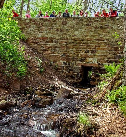 Hotel Naturfreundehaus Rahnenhof 15