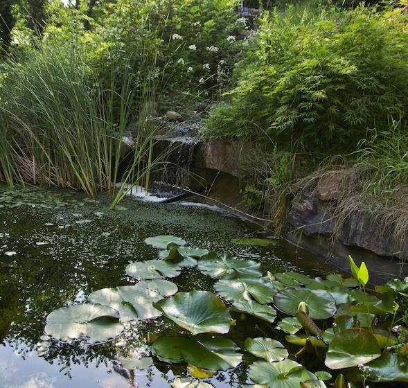 Hotel Naturfreundehaus Rahnenhof 4
