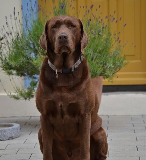 Residenz Villa Albus 3