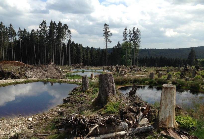 Hotel Gasthof Zuck 11