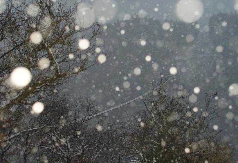 Hotel Gasthof Zuck 17