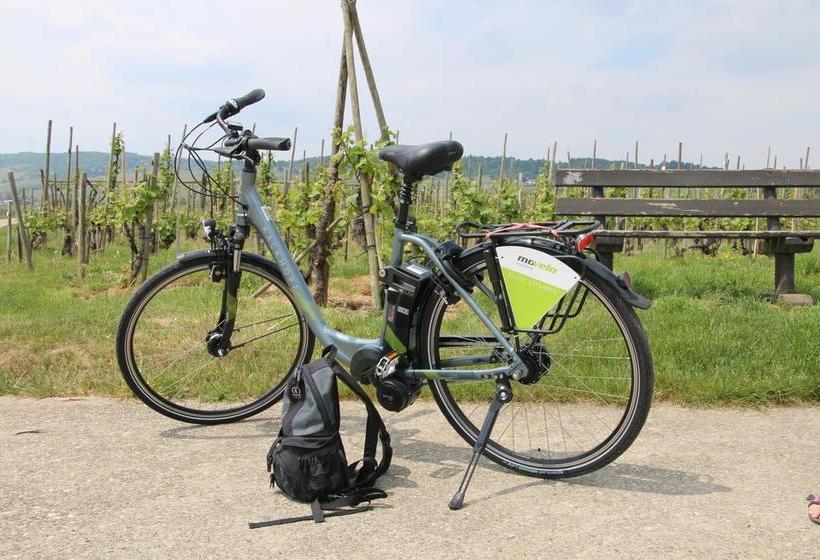 Hotel Gasthof Krancher 4