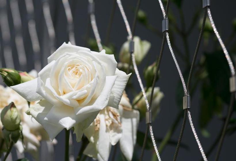 Hotel Apart Rosengarten 1