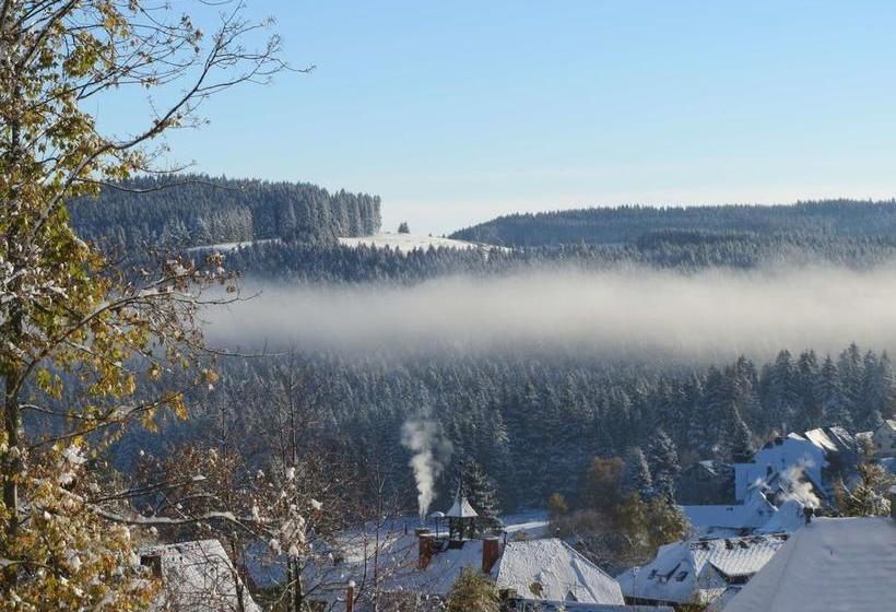 Hotel Haus Sommerberg 11