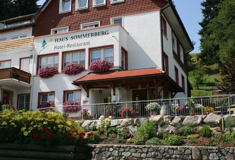 Hotel Haus Sommerberg 2