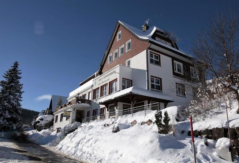 Hotel Haus Sommerberg 3