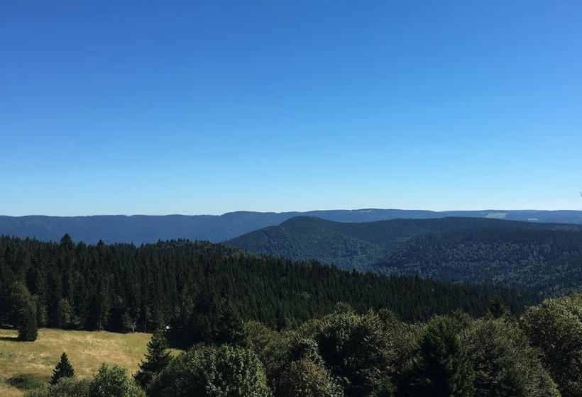 Hotel Berggasthaus Kandelhof 16