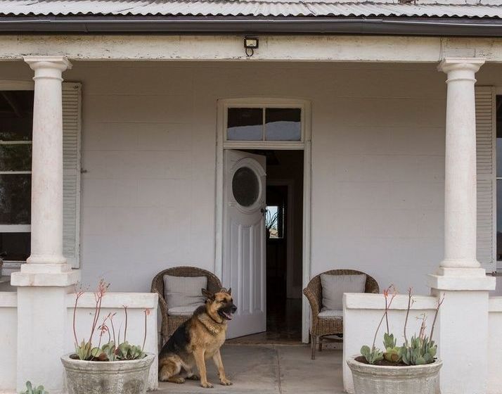 Sneeuberg Nature Reserve 1