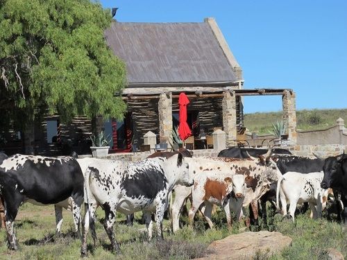 Sneeuberg Nature Reserve 2