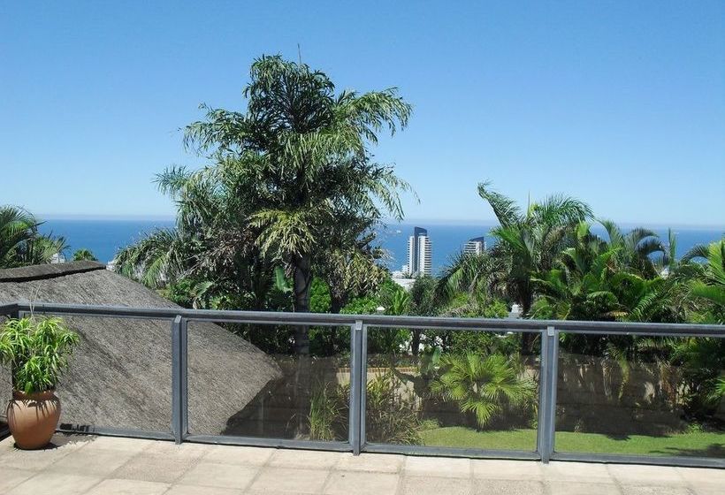 8 Royal Palm Bed & Breakfast 19