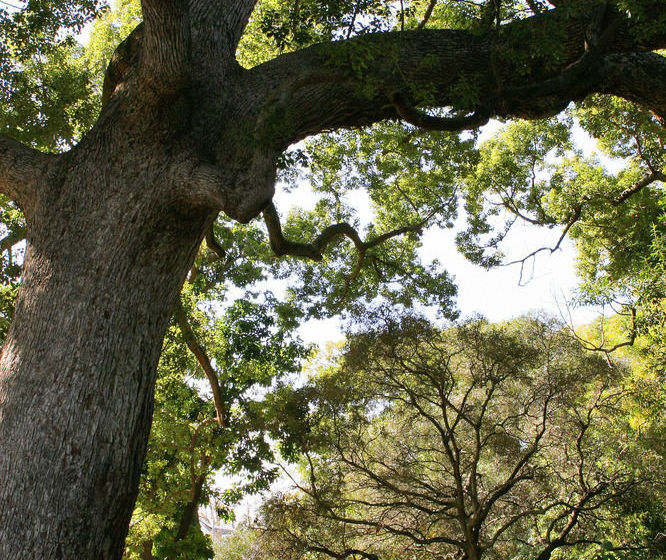 Avemore Wag N Bietjie No 1 20