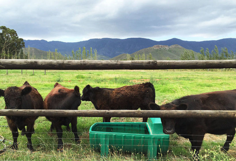 Pension Galloway Guest House 10