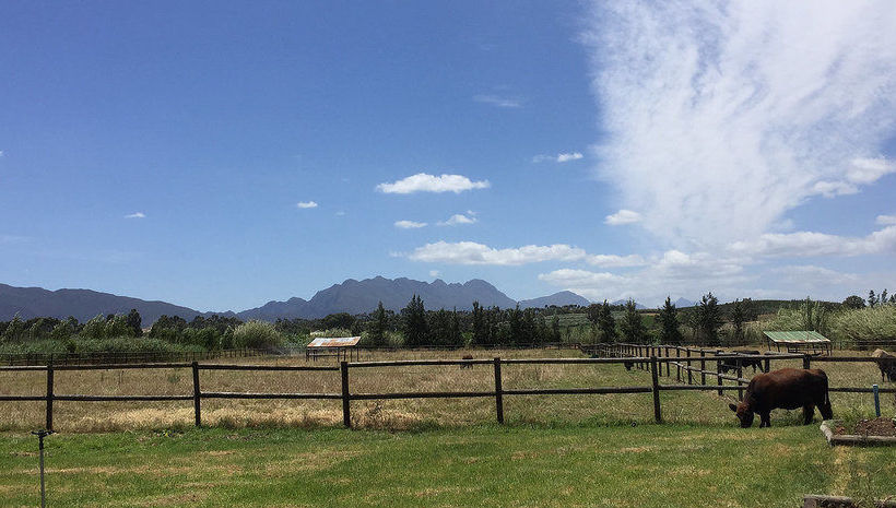 Pension Galloway Guest House 9