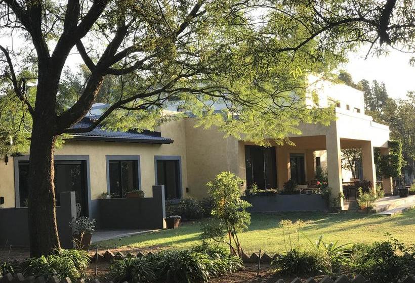 Pension Aramesh Luxury Guesthouse 4