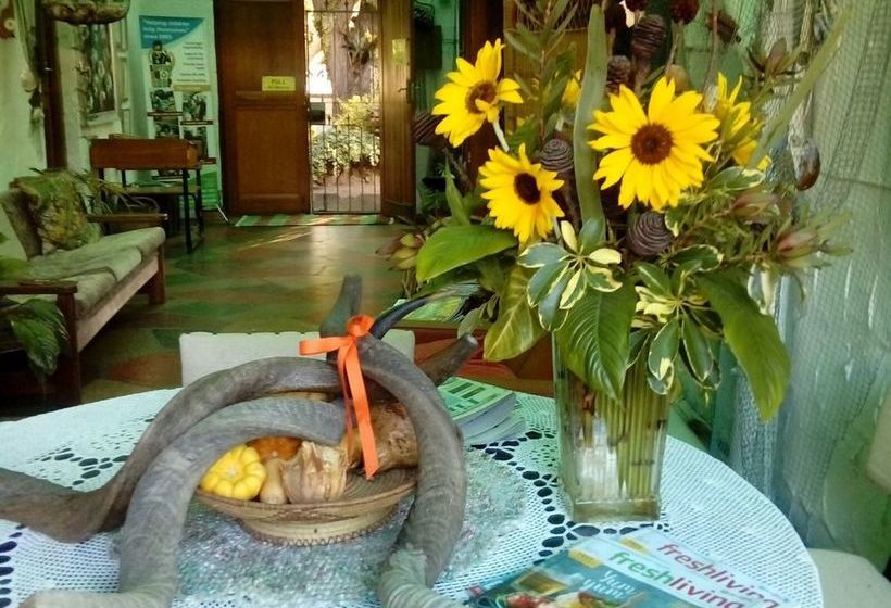 Hostel Zoete Inval Traveller's Lodge 1