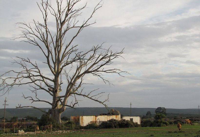 Hotel A Farm Story Country House 20