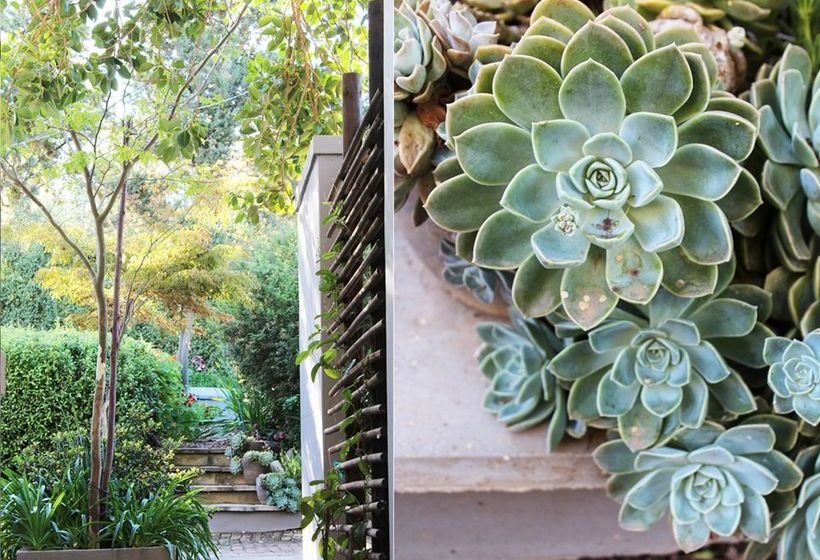 Arumvale Country House 19