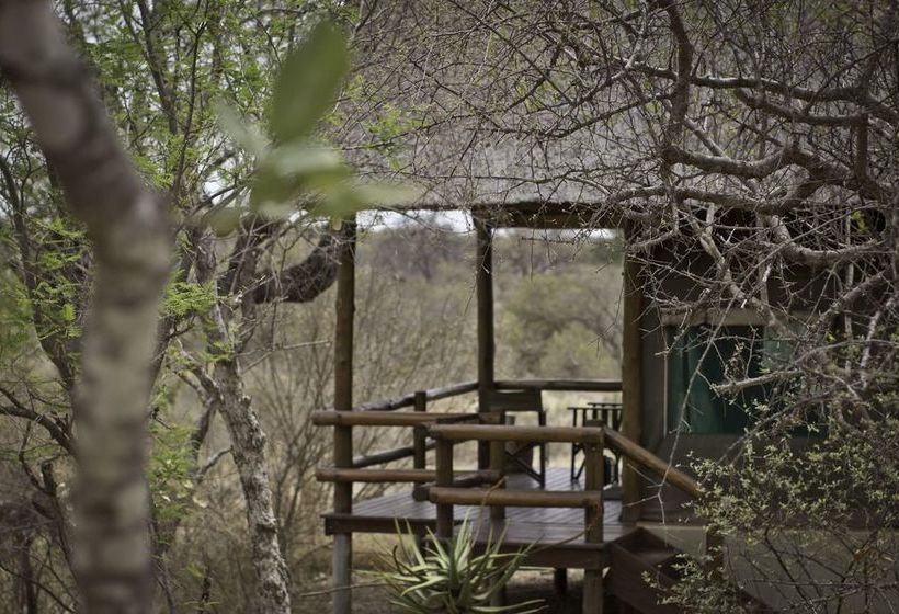 Hotel Sausage Tree Safari Camp 2