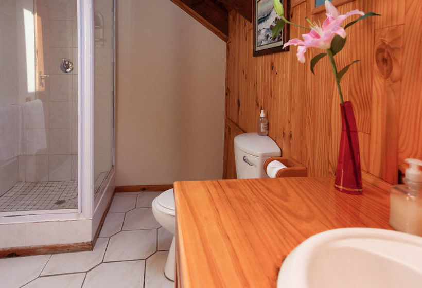 Bed and Breakfast Paradise Found 13