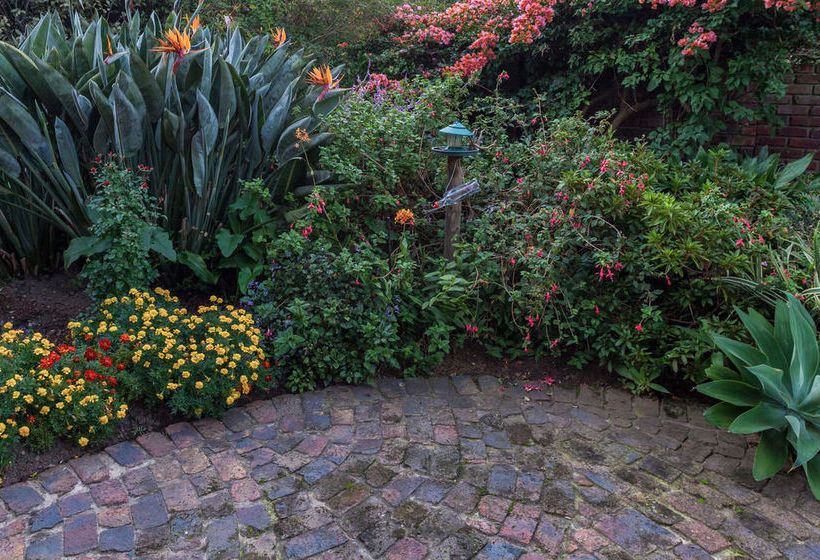 Bed and Breakfast Paradise Found 15